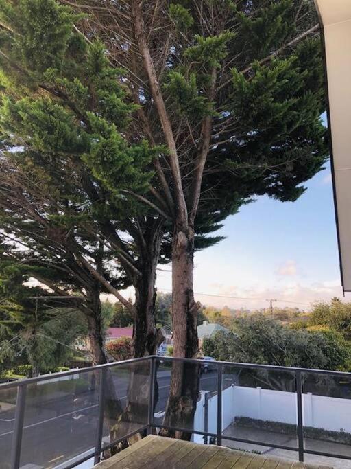 “Henderson Dream Guest House” Auckland Kültér fotó